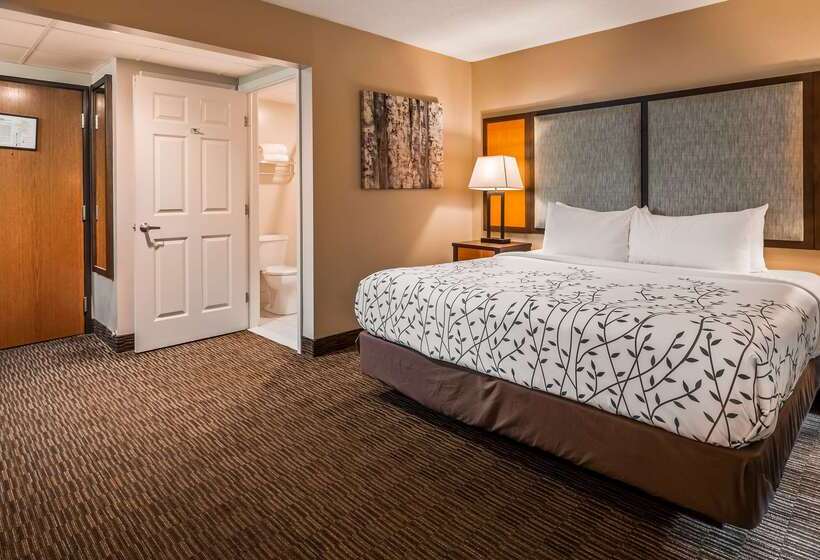 酒店 Americinn By Wyndham Birch Run Frankenmuth