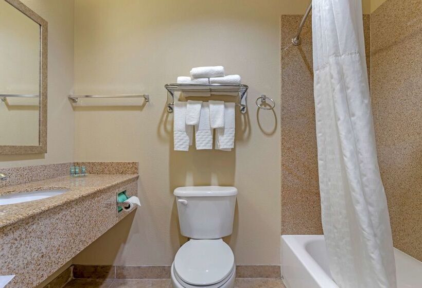 هتل Best Western Texas City