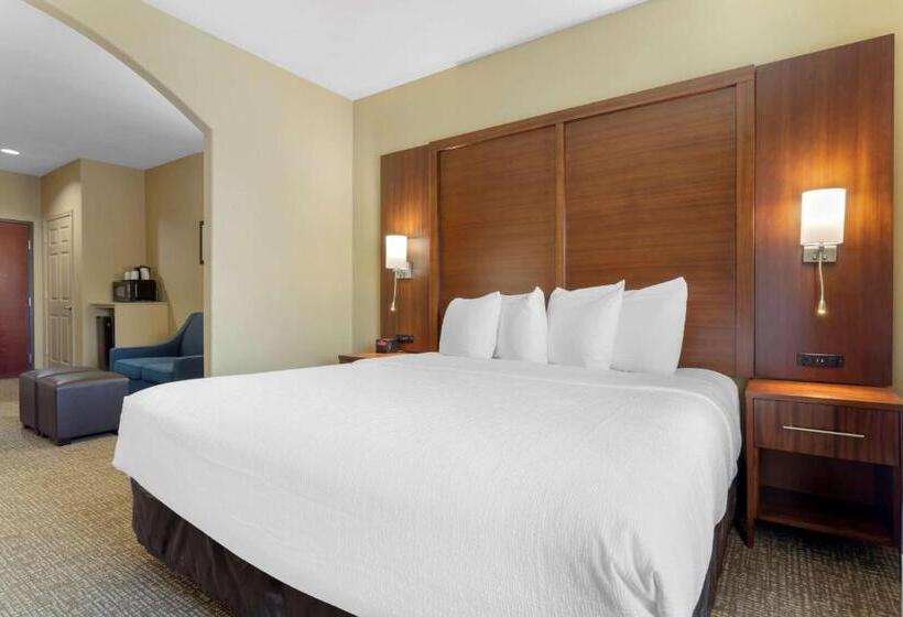 هتل Best Western Texas City