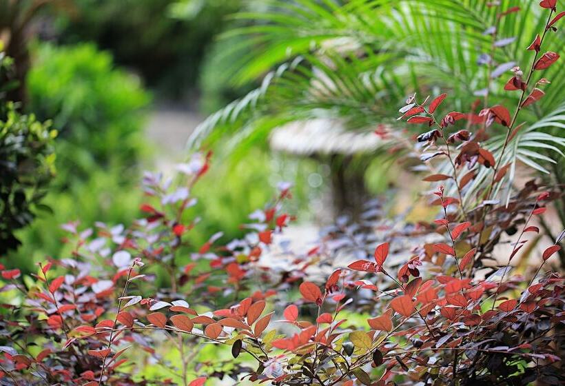 هتل Old Story Inn Dali Ancient Town