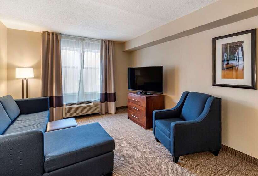 酒店 Comfort Inn & Suites Virginia Beach   Norfolk Airport
