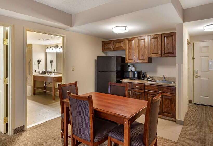 酒店 Comfort Inn & Suites Virginia Beach   Norfolk Airport