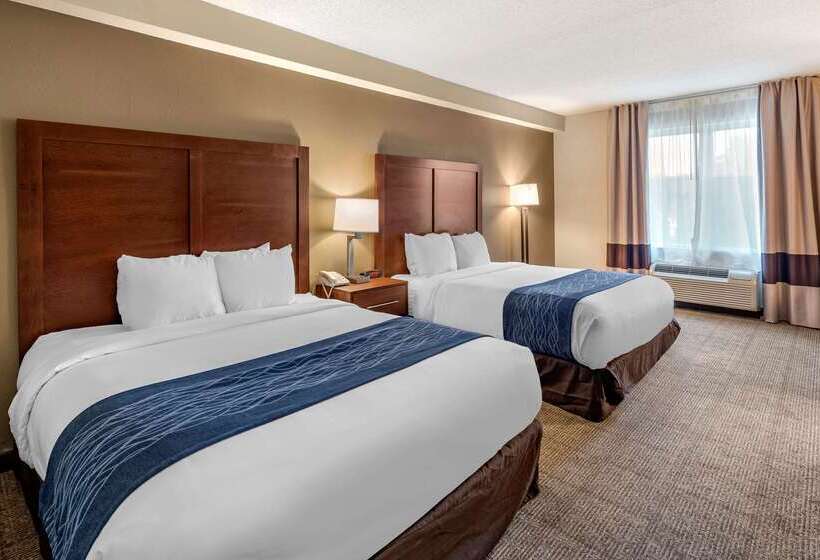 酒店 Comfort Inn & Suites Virginia Beach   Norfolk Airport