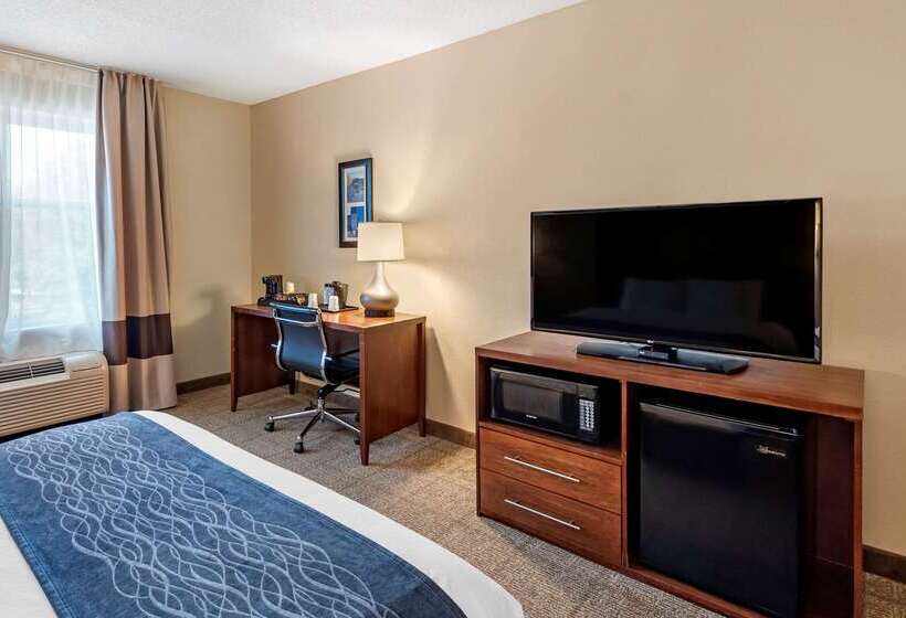 酒店 Comfort Inn & Suites Virginia Beach   Norfolk Airport
