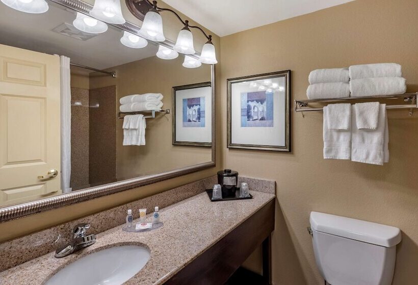 酒店 Comfort Inn & Suites Virginia Beach   Norfolk Airport