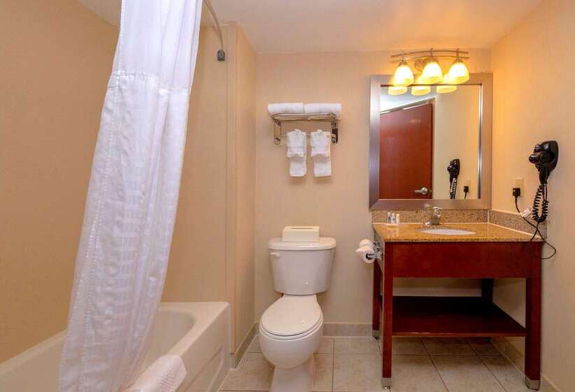 酒店 Comfort Inn Near Quantico Main Gate North