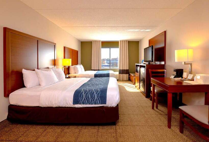 酒店 Comfort Inn Near Quantico Main Gate North