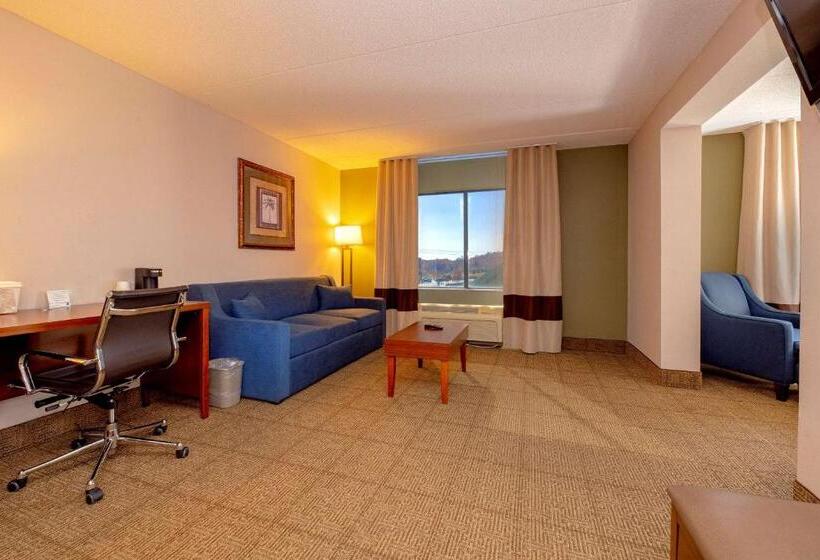 酒店 Comfort Inn Near Quantico Main Gate North