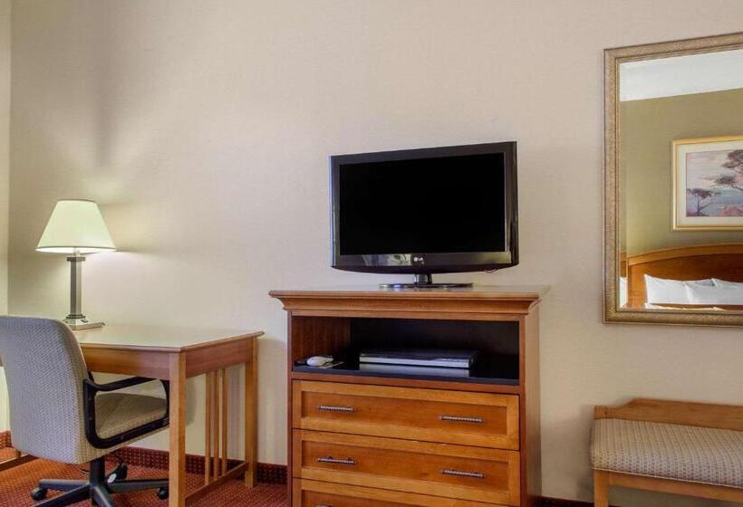 فندق Comfort Inn & Suites I 25 Near Spaceport America