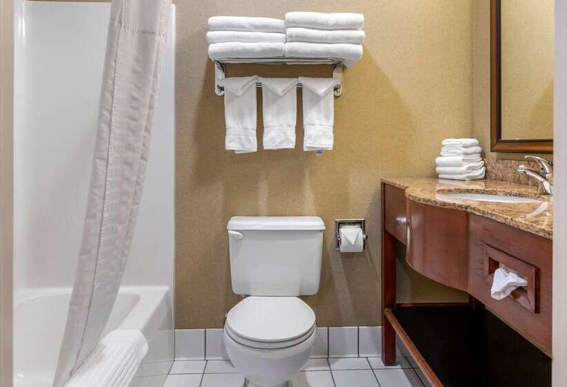 هتل Comfort Inn Traverse City