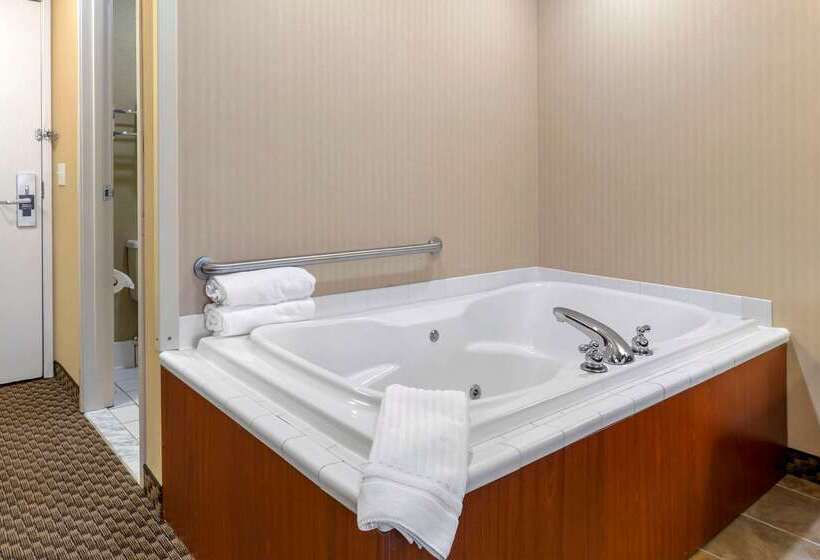 هتل Comfort Inn Traverse City