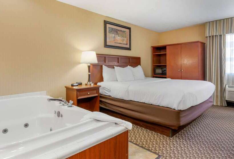 Hôtel Comfort Inn Traverse City