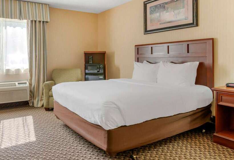 هتل Comfort Inn Traverse City