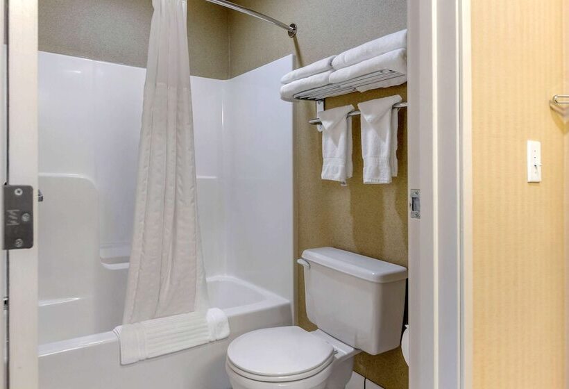 هتل Comfort Inn Traverse City