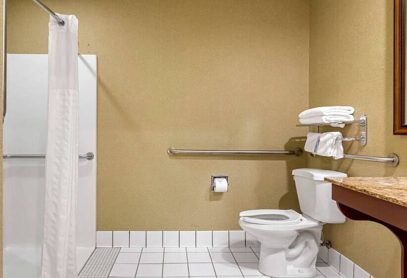 هتل Comfort Inn Traverse City