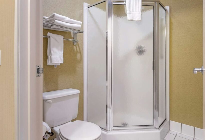 هتل Comfort Inn Traverse City