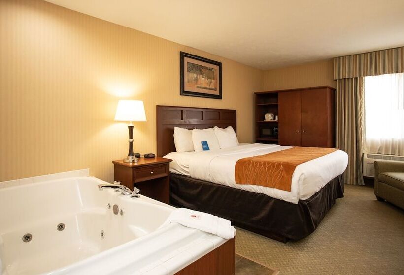 هتل Comfort Inn Traverse City