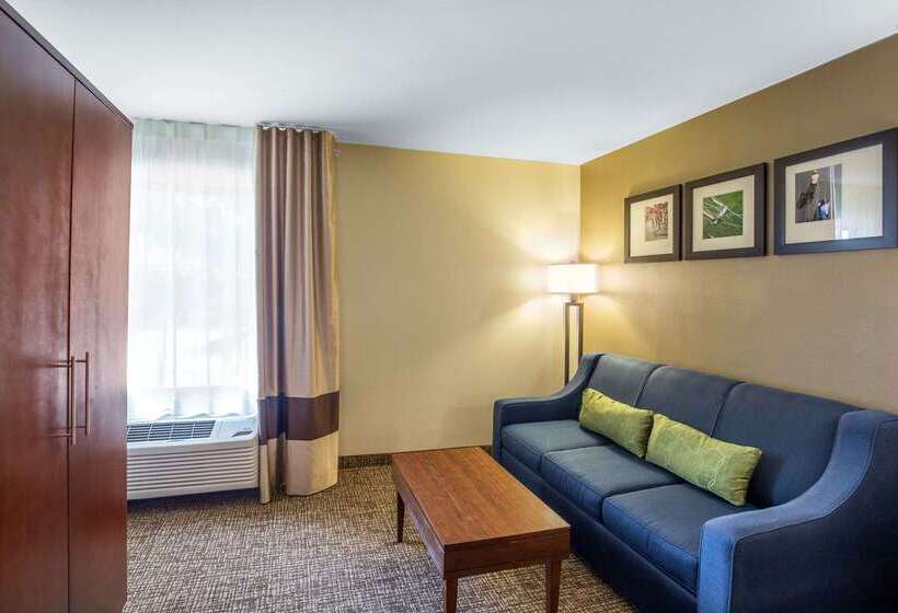 هتل Comfort Inn Wichita Falls North