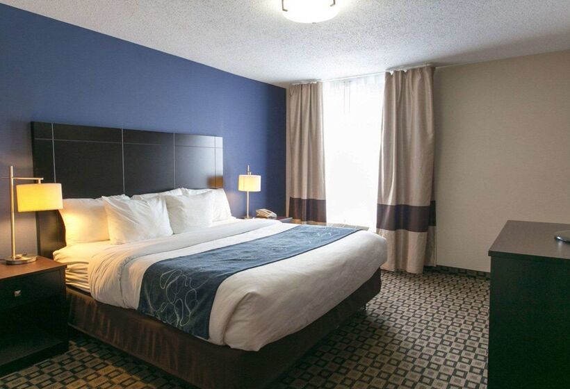 هتل Comfort Suites Benton Harbor St. Joseph