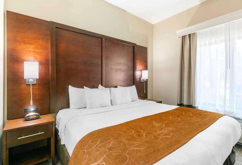 ホテル Comfort Suites Hopkinsville Near Fort Campbell