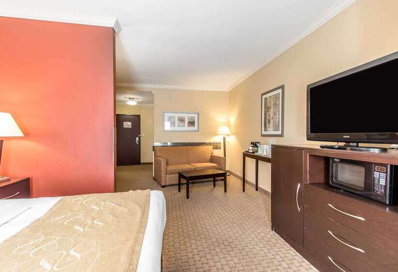 Hotel Comfort Suites