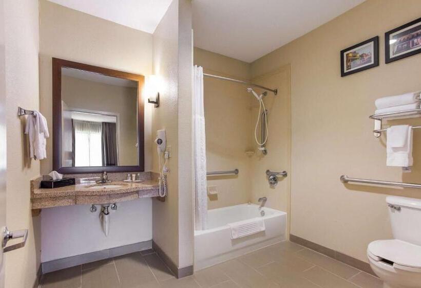 בית מלון כפרי Comfort Suites North Mobile