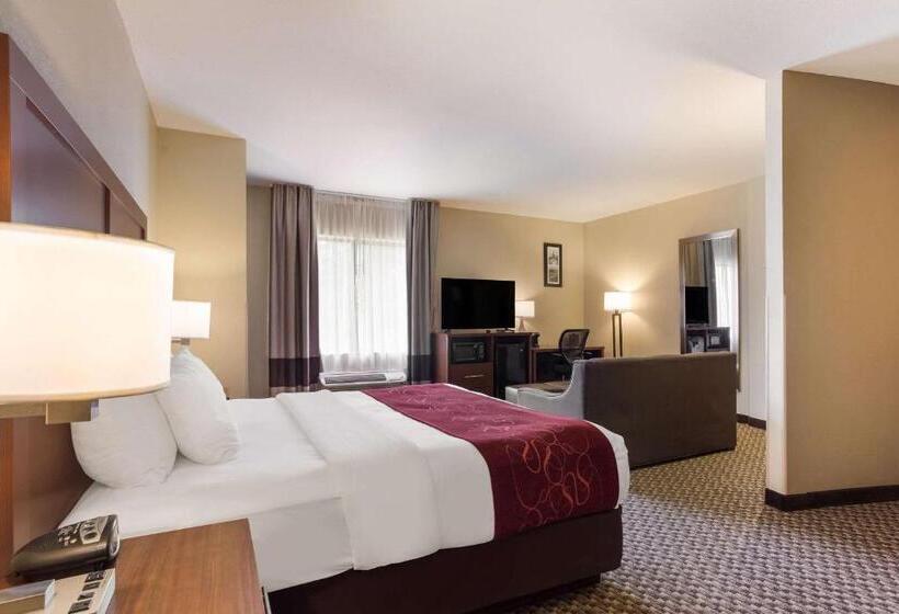 בית מלון כפרי Comfort Suites North Mobile
