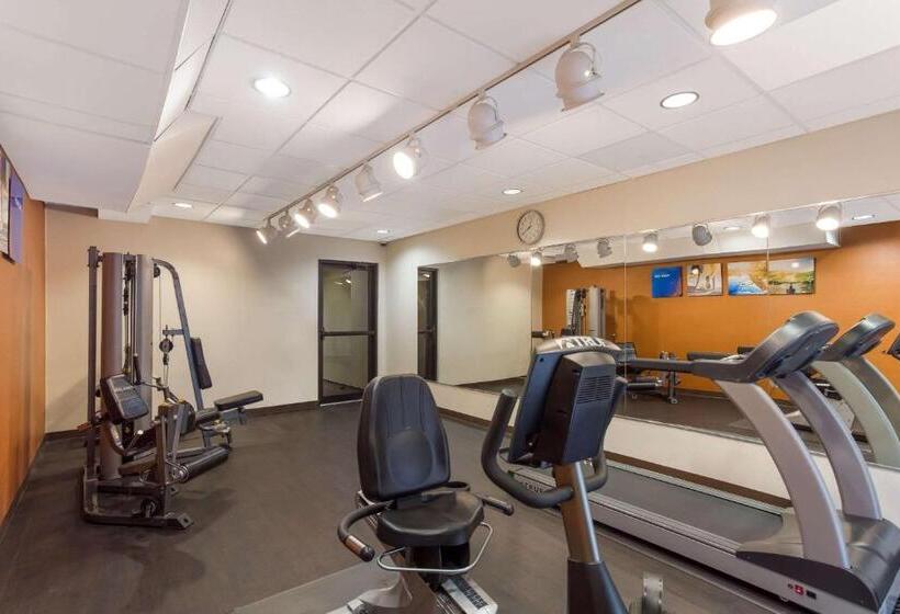 בית מלון כפרי Comfort Suites North Mobile