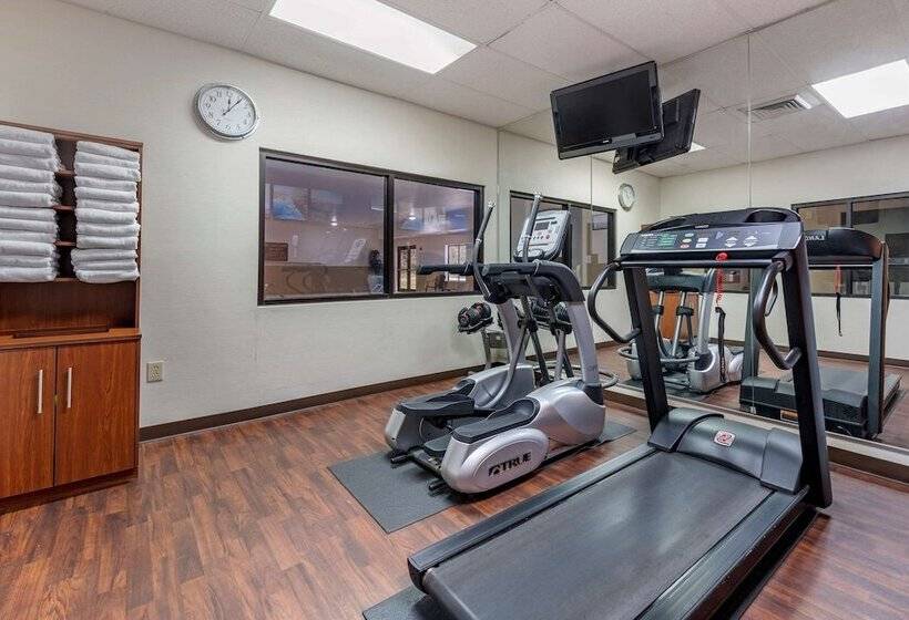 בית מלון כפרי Comfort Suites West Indianapolis  Brownsburg