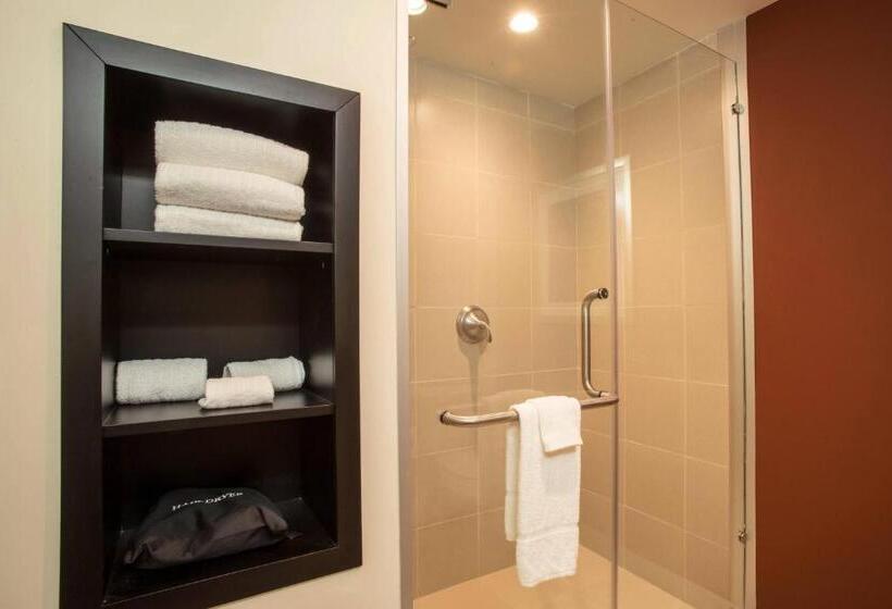 هتل Courtyard Toluca Tollocan
