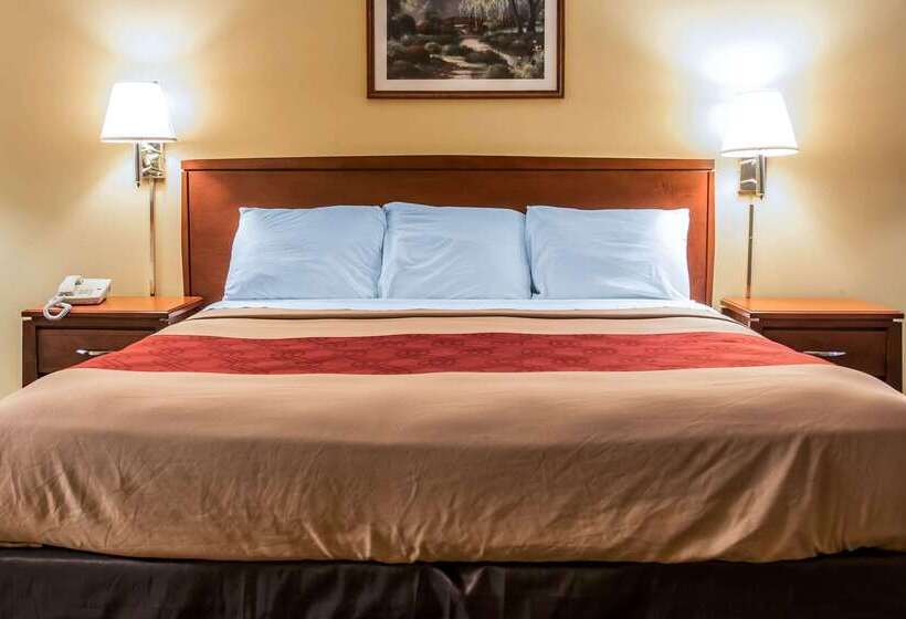 Отель Econo Lodge