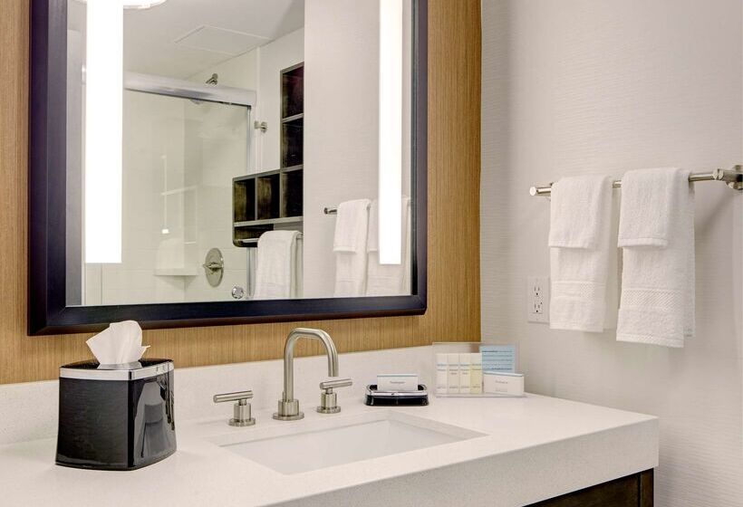 Fotos del hotel Hampton Inn Brooklyn Downtown:  18