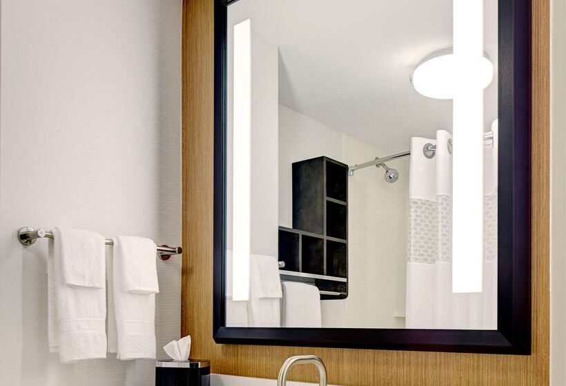 Fotos del hotel Hampton Inn Brooklyn Downtown:  33