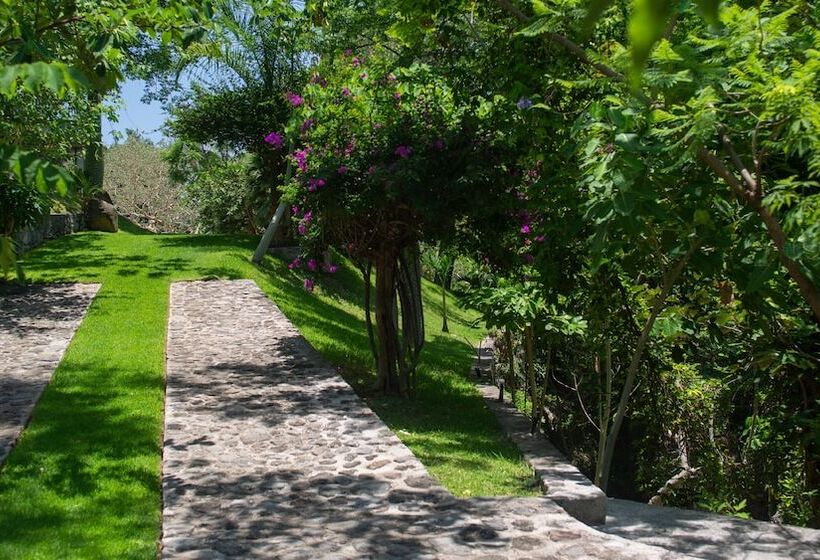 Fotos del hotel Holiday Inn Express & Suites Cuernavaca, An Ihg:  21
