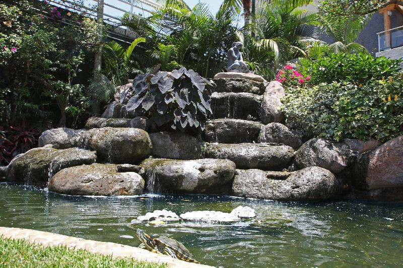 Fotos del hotel Holiday Inn Express & Suites Cuernavaca, An Ihg:  46