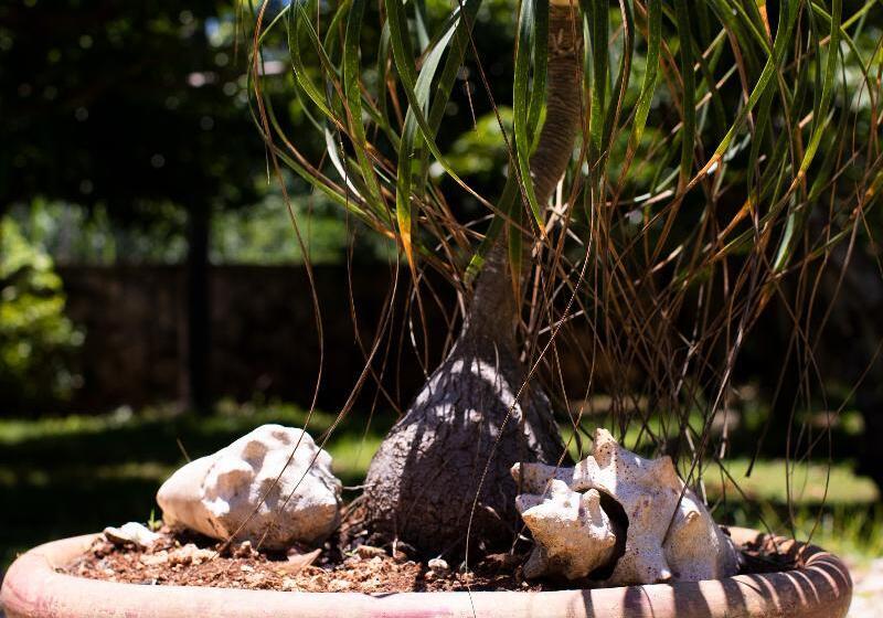 Fotos del hotel Hosteria Mar Y Sol:  51