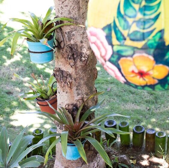 Fotos del hotel Hosteria Mar Y Sol:  4