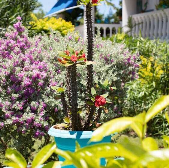 Fotos del hotel Hosteria Mar Y Sol:  56