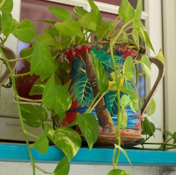 Fotos del hotel Hosteria Mar Y Sol:  81