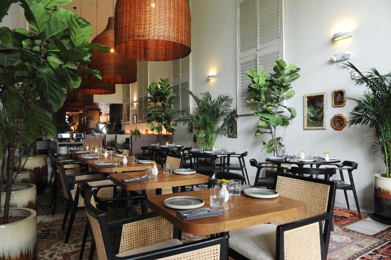 Fotos del hotel Kayak Miami Beach:  4