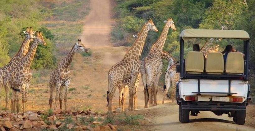 Отель Pakamisa Private Game Reserve
