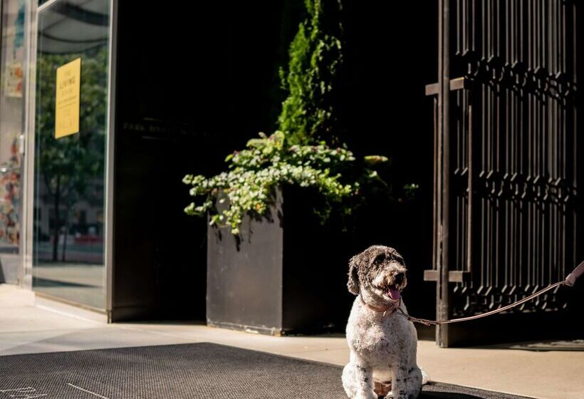 هتل Park Hyatt New York