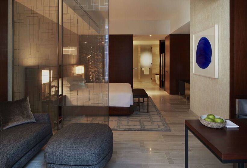 Hotel Park Hyatt New York