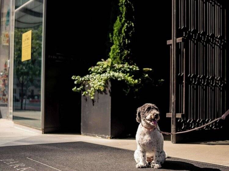 Fotos del hotel Park Hyatt New York:  16