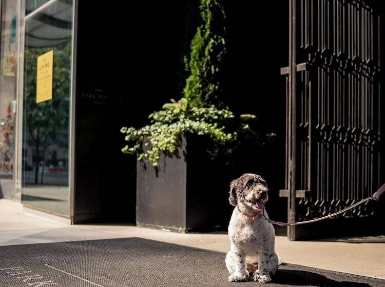 هتل Park Hyatt New York