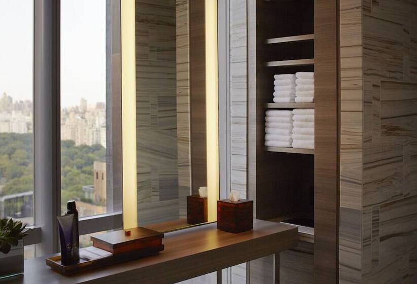Fotos del hotel Park Hyatt New York:  35