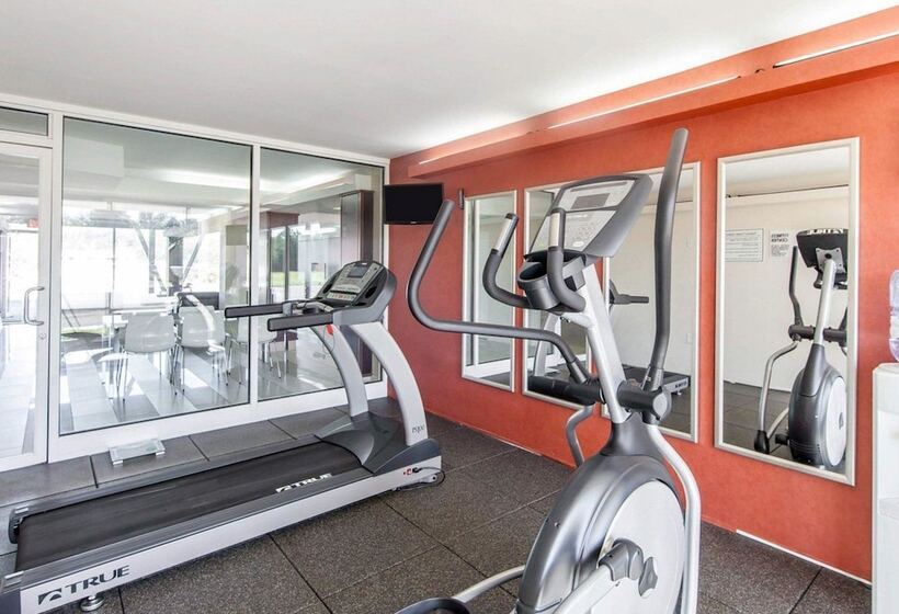 בית מלון כפרי Quality Inn & Suites