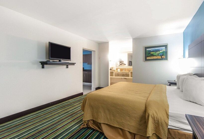 酒店 Quality Inn & Suites