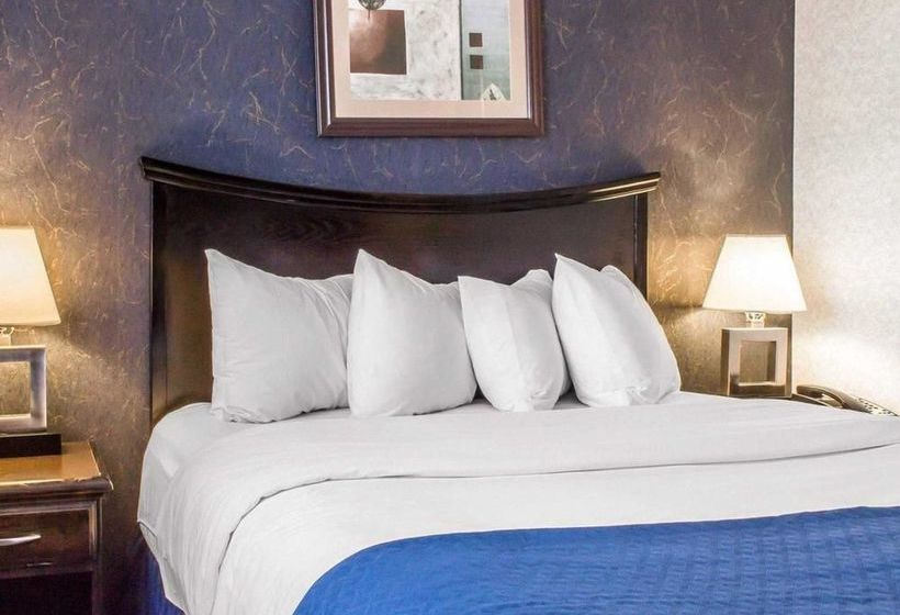 فندق Paramount Inn