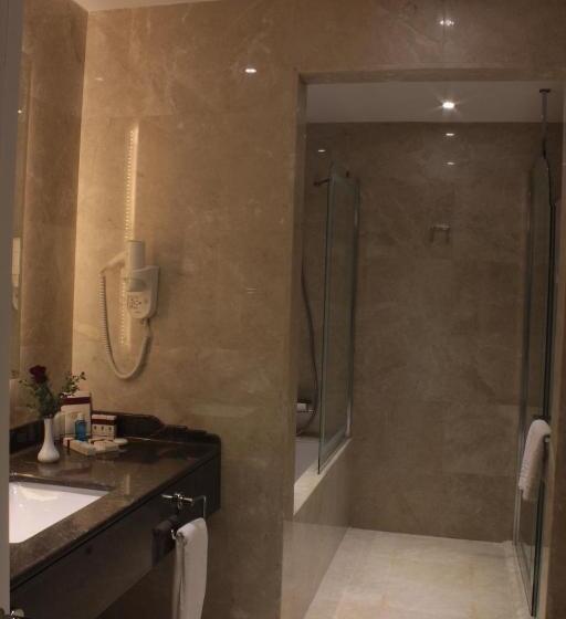 Fotos del hotel Retaj Royale Istanbul:  39